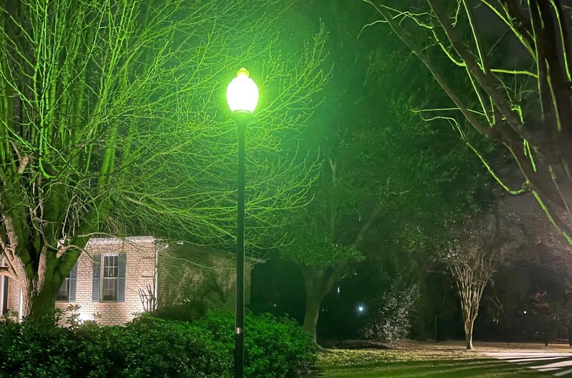 Street Lights Pine Forest Country Club