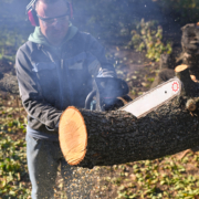 Tree Removal